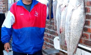 Pearly Hengelnuus (28 Jan 2016)